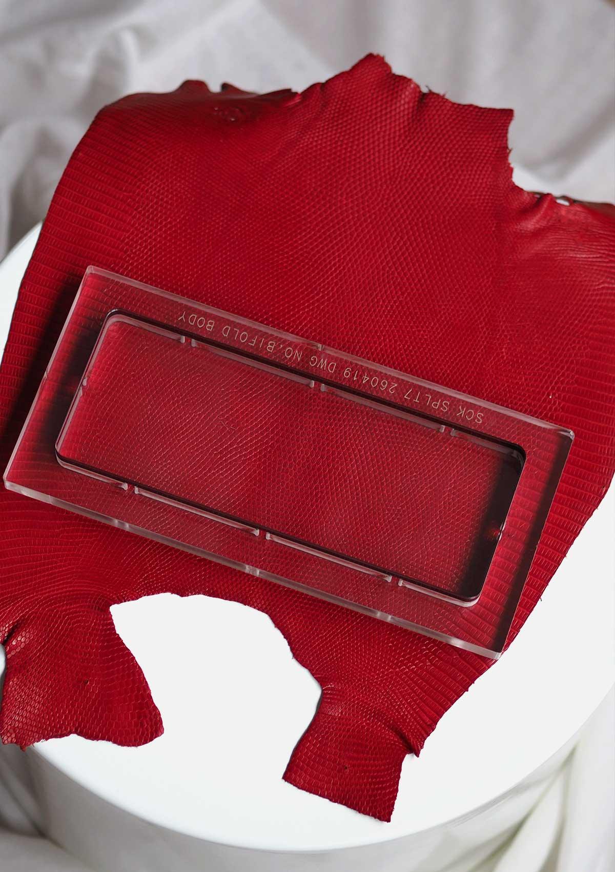 #Colour_Red Lizard