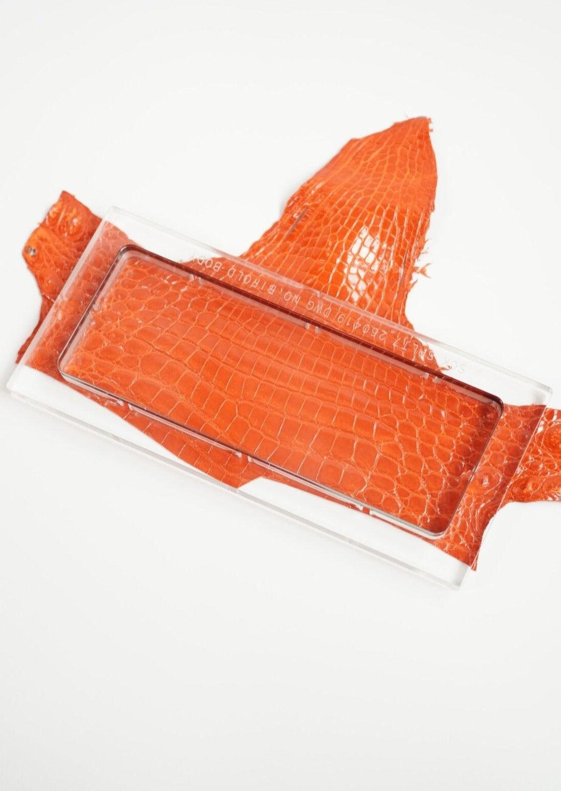 #Colour_Orange Crocodile