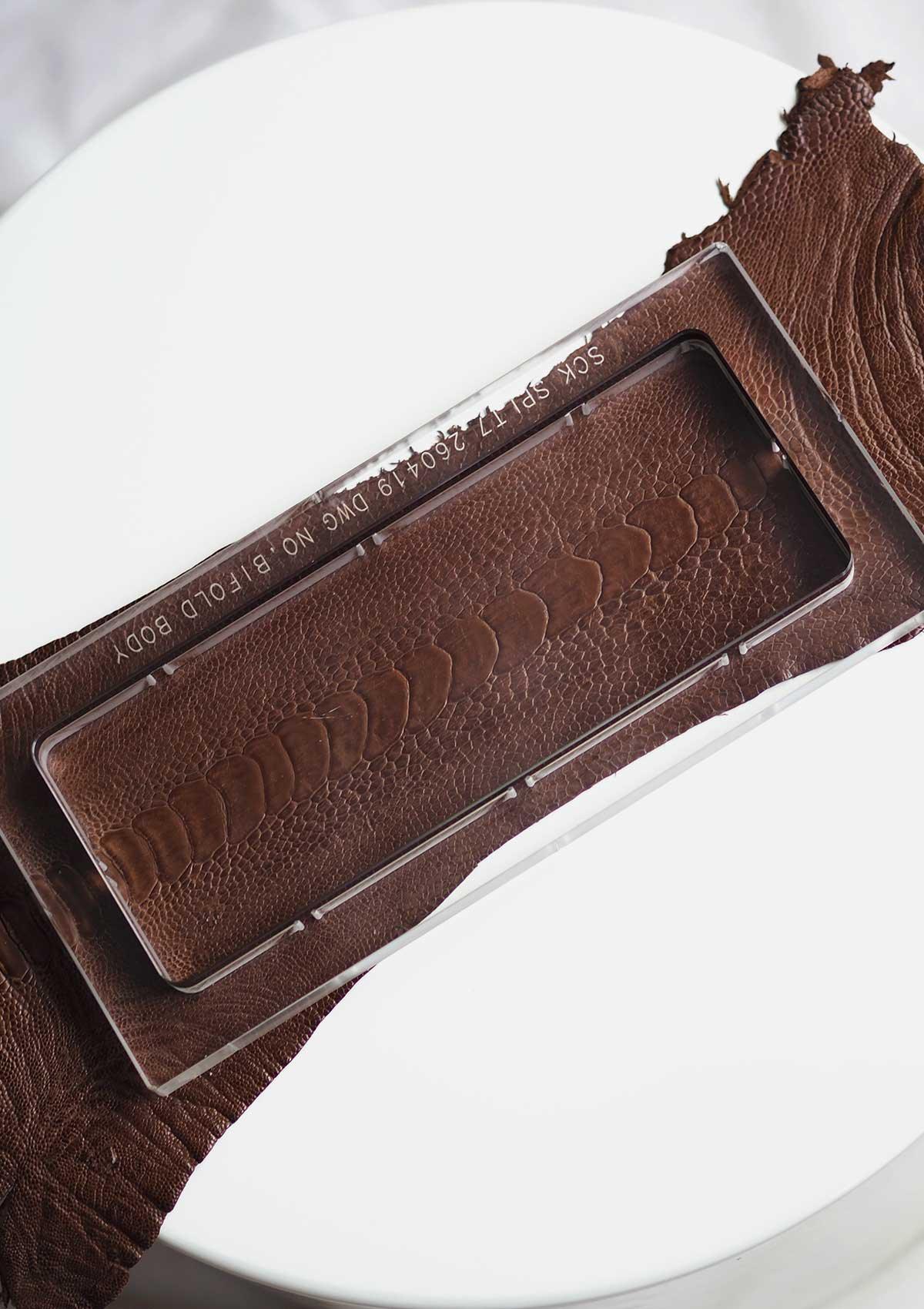 #Colour_Brown Ostrich