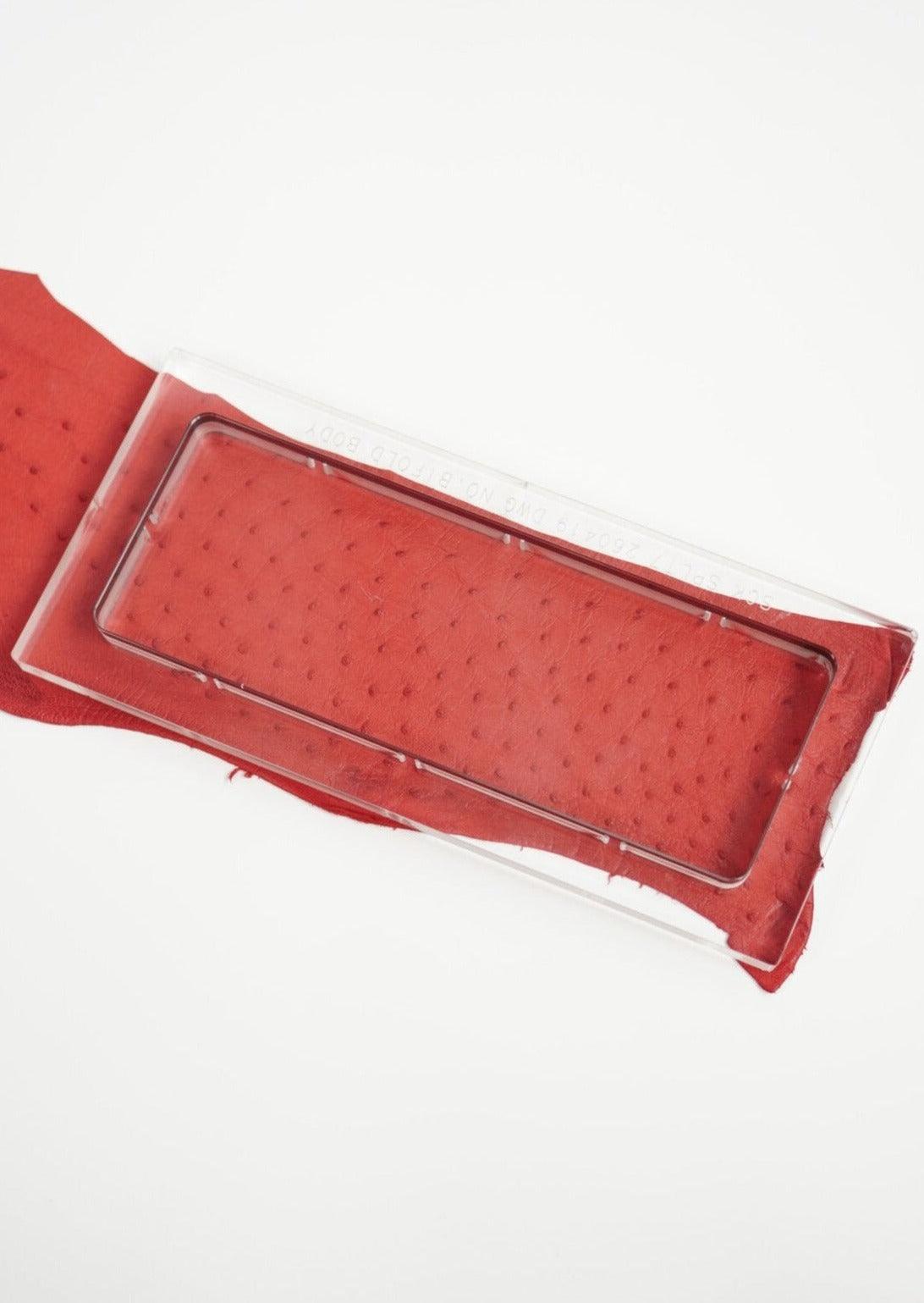 #Colour_Red Ostrich