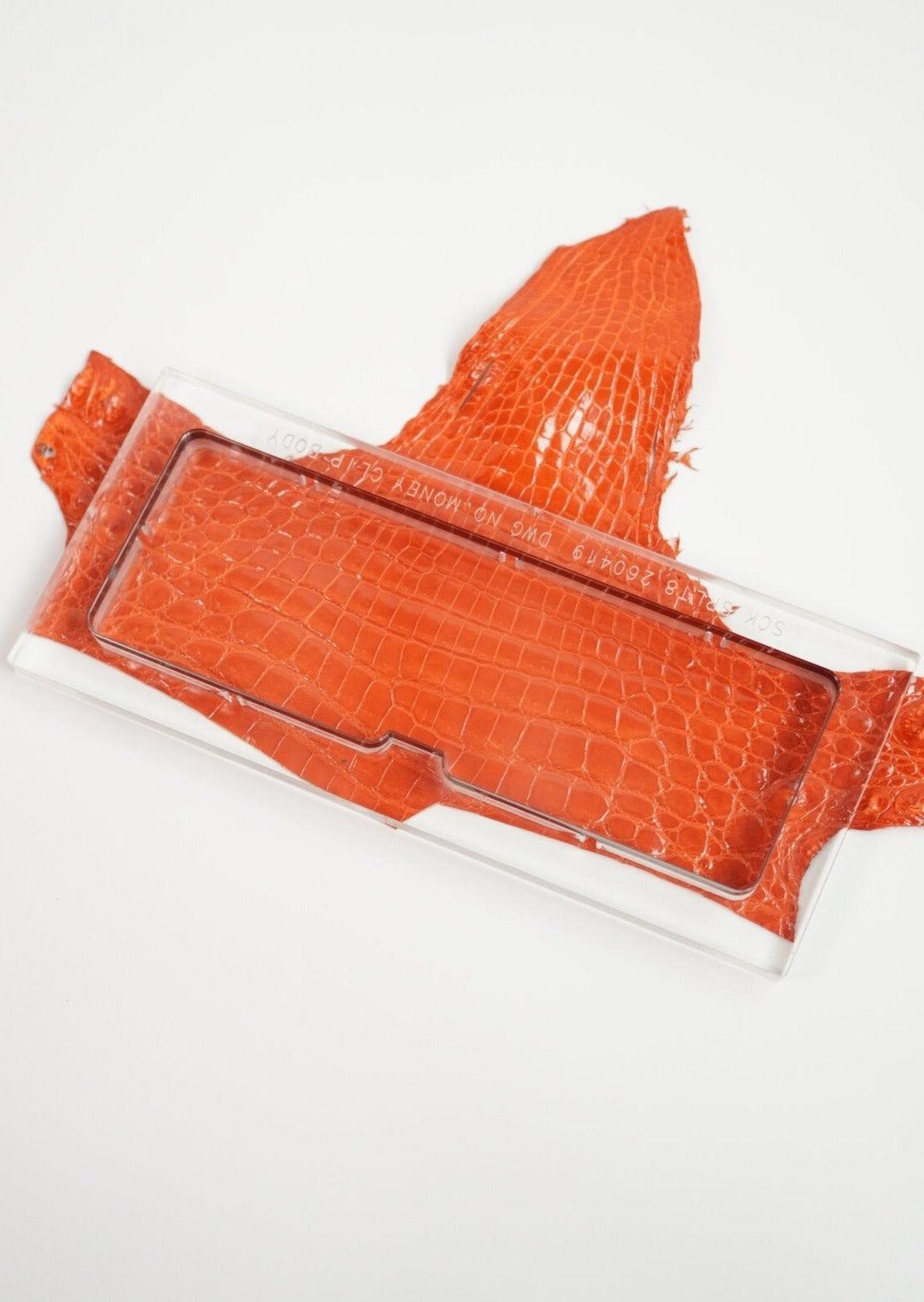#Colour_Orange Crocodile