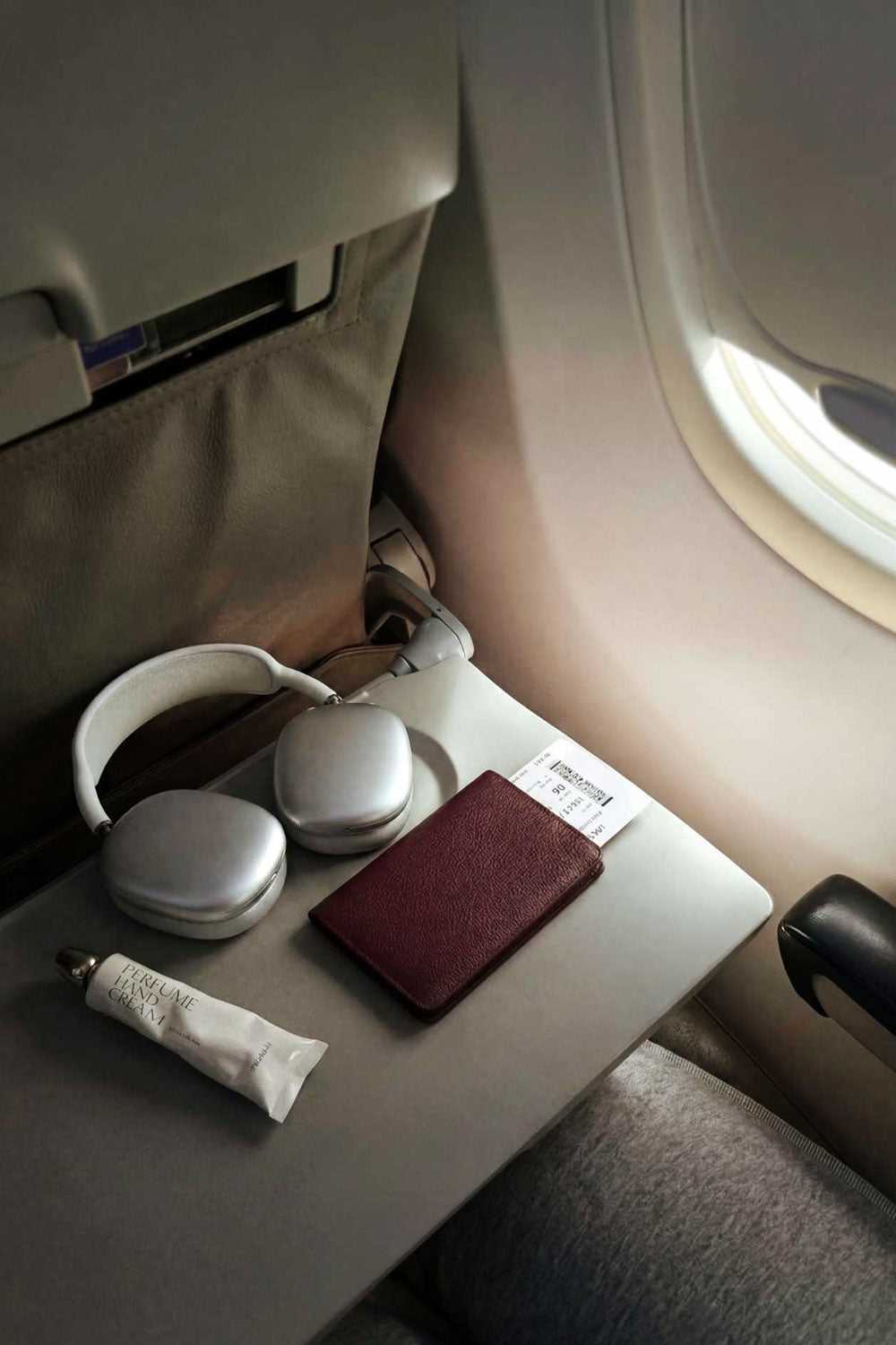 Passport Holder in Burgundy on plane