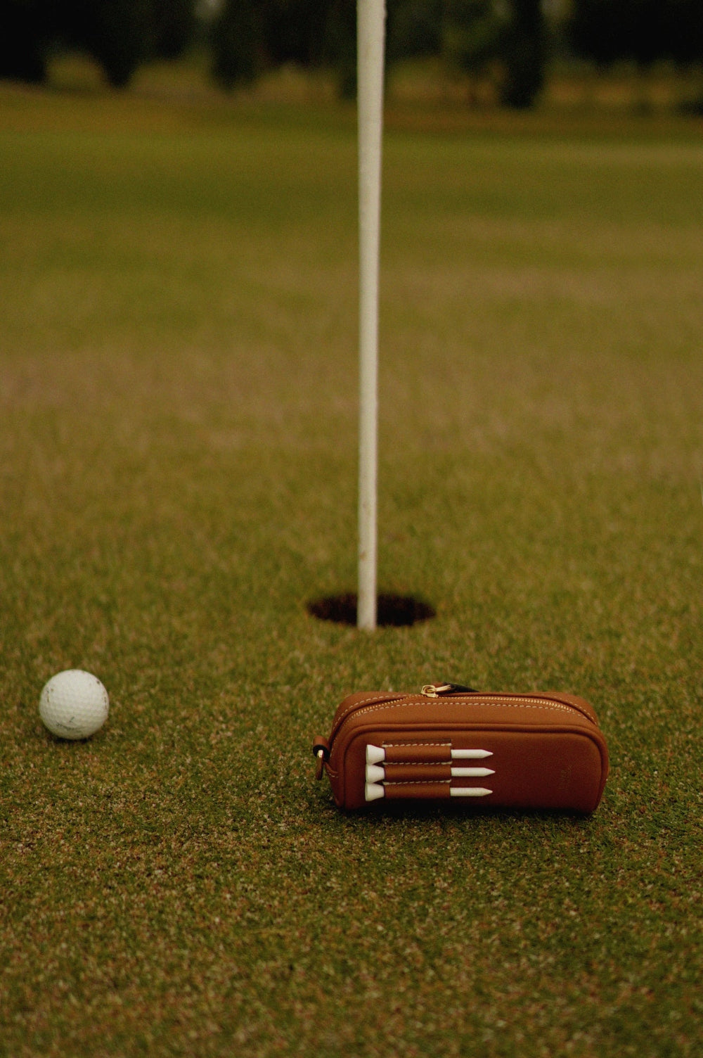 Personalised Golf Ball and Tee Holder, Corporate Golfing Event Singapore